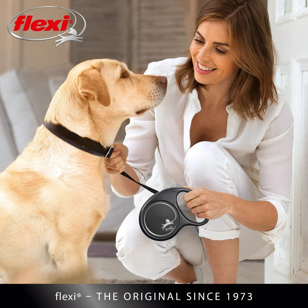 Feature Retractable Dog Leash Tangle Free Walking Experience