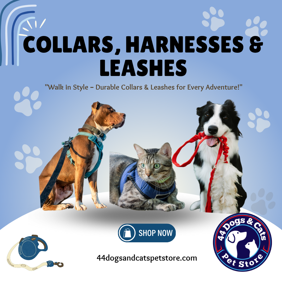 Stylish Adventures Await: The Perfect Gear for Every Pet Walk