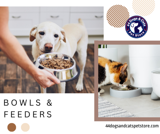 Stylish Hydration Solutions for Your Furry Companions