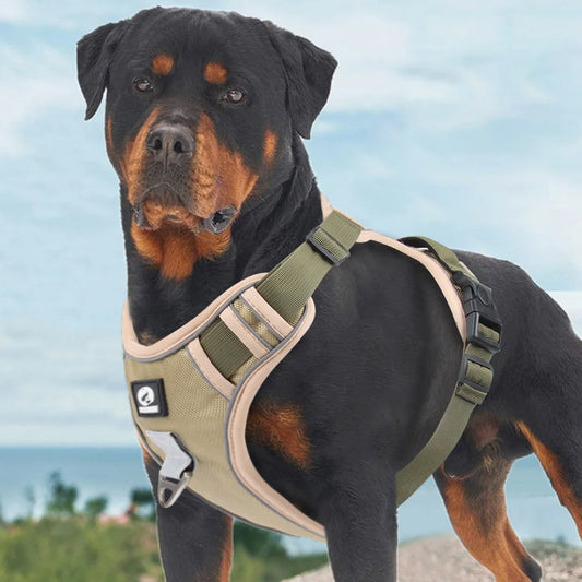 Guangdong Military Dog Harness Reflective Vest Training