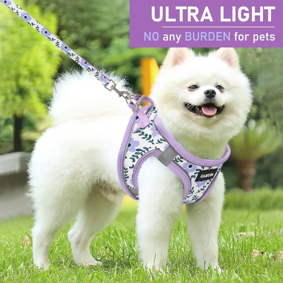 High-Concerned All-Weather Reflective-Protection Harness-Collar and Leash Set for Pets