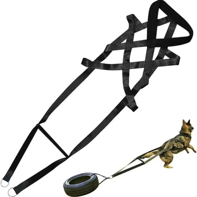 Choice Working Dog Pull Training Leash Sled Safety Belt For Behavior Training