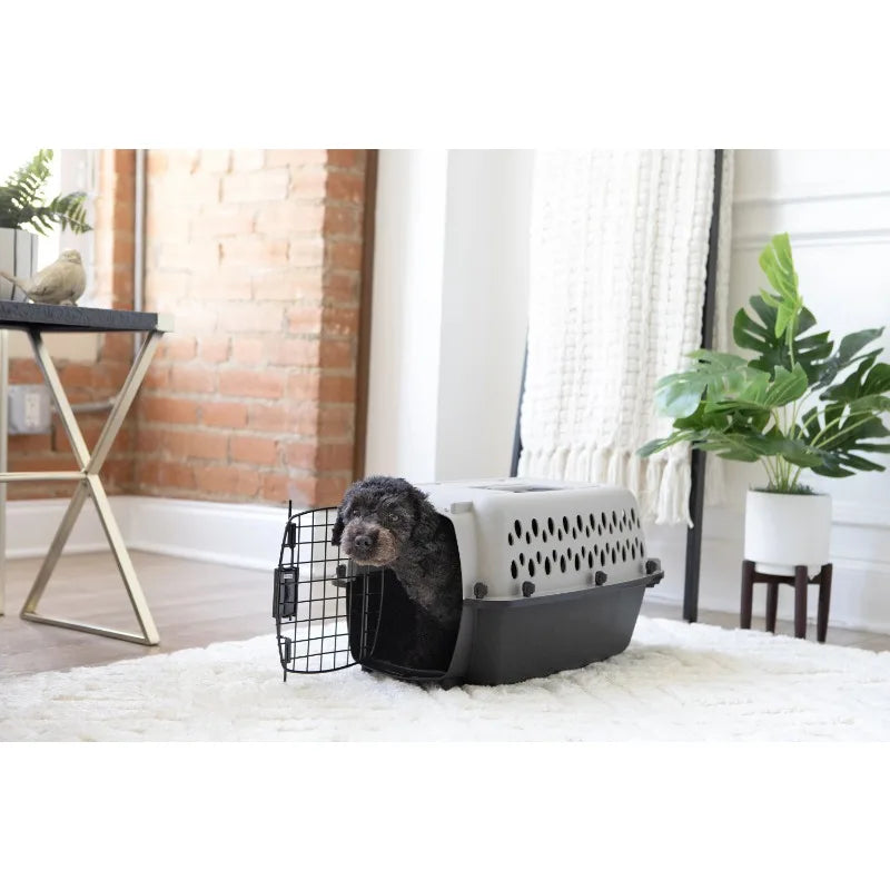 Plastic Pet Kennel Portable Dog Crate For Pets Up To 10 Lbs