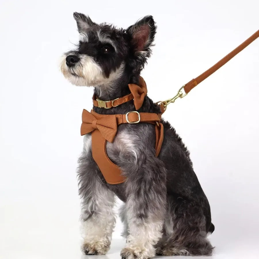 High-concerned Dog Harness Set With Detachable Bows And Leash