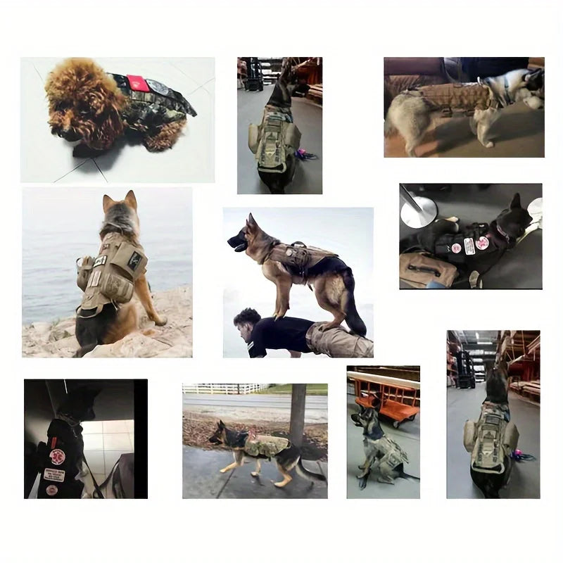 Choice Dog Safety Harness No Pull Vest for Large Dogs