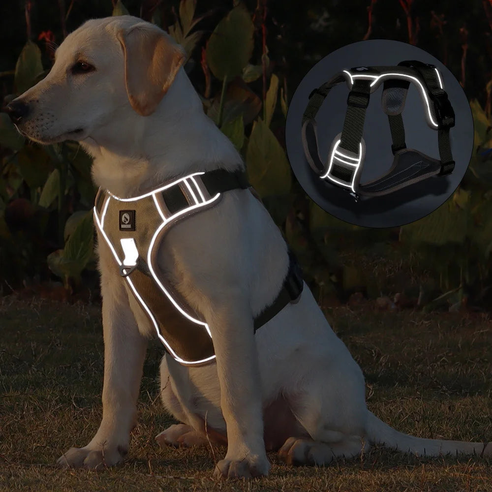 Guangdong Military Dog Harness Reflective Vest Training