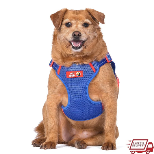 DUTRIEUX Adjustable Dog Harness Breathable Mesh Step In Style