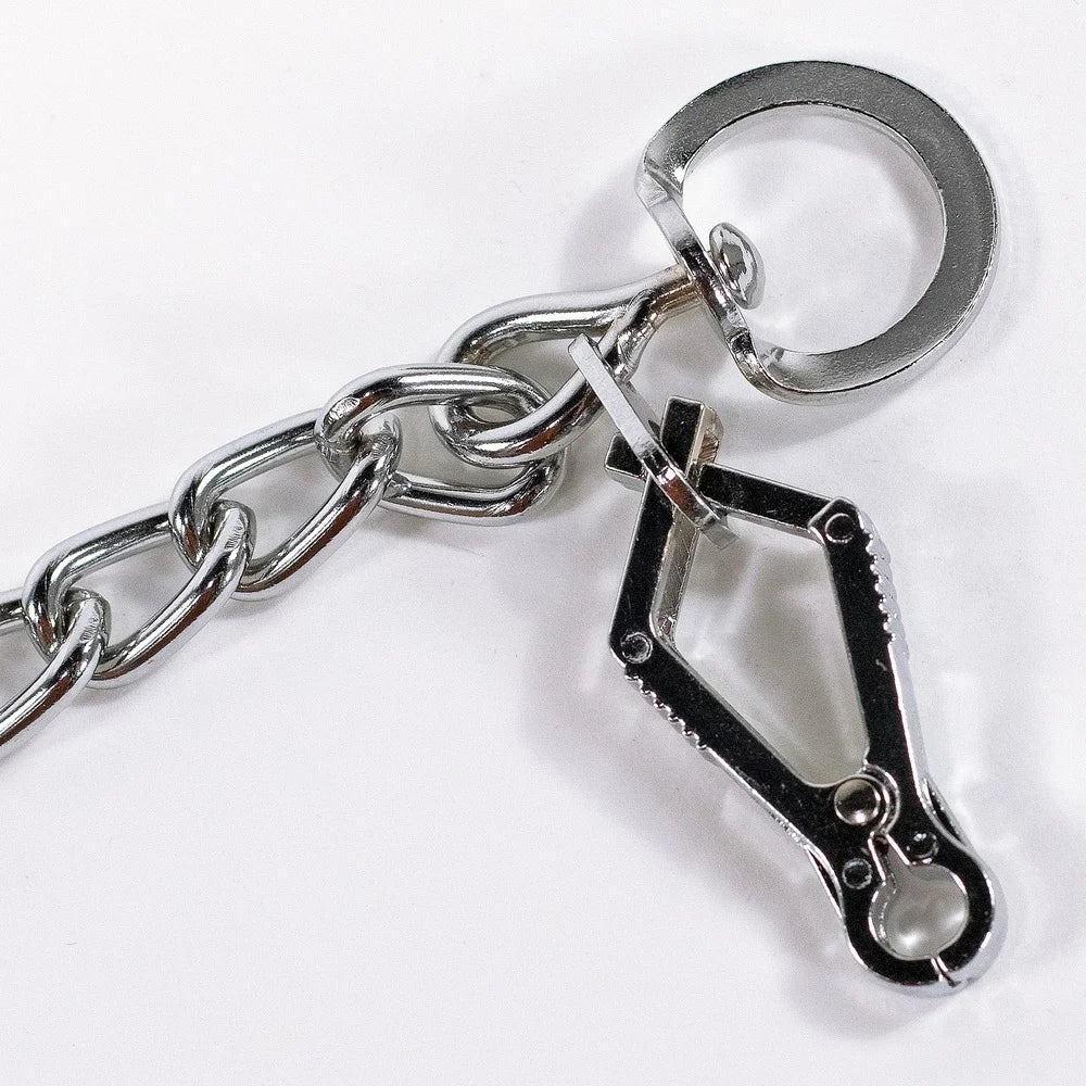 DUTRIEUX Pronged Training Collar Martingale Style Steel Leash Attachment