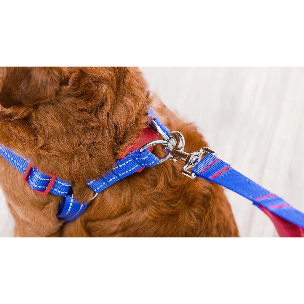 DUTRIEUX Adjustable Dog Harness Breathable Mesh Step In Style