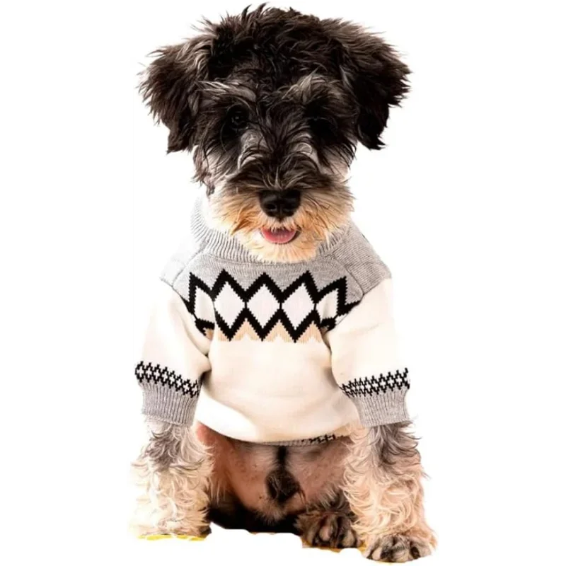 Guangdong CN Designer Dog Clothes Sweater Shirt Outfit