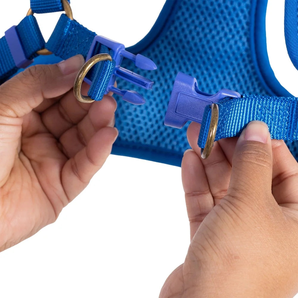 DUTRIEUX Adjustable Dog Harness Breathable Mesh Step In Style