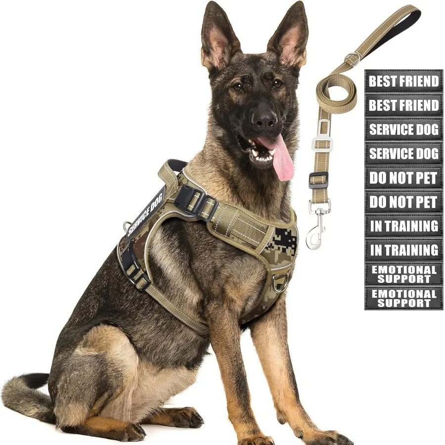 Hign-concerned Tactical Dog Harness and Leash Set Reflective