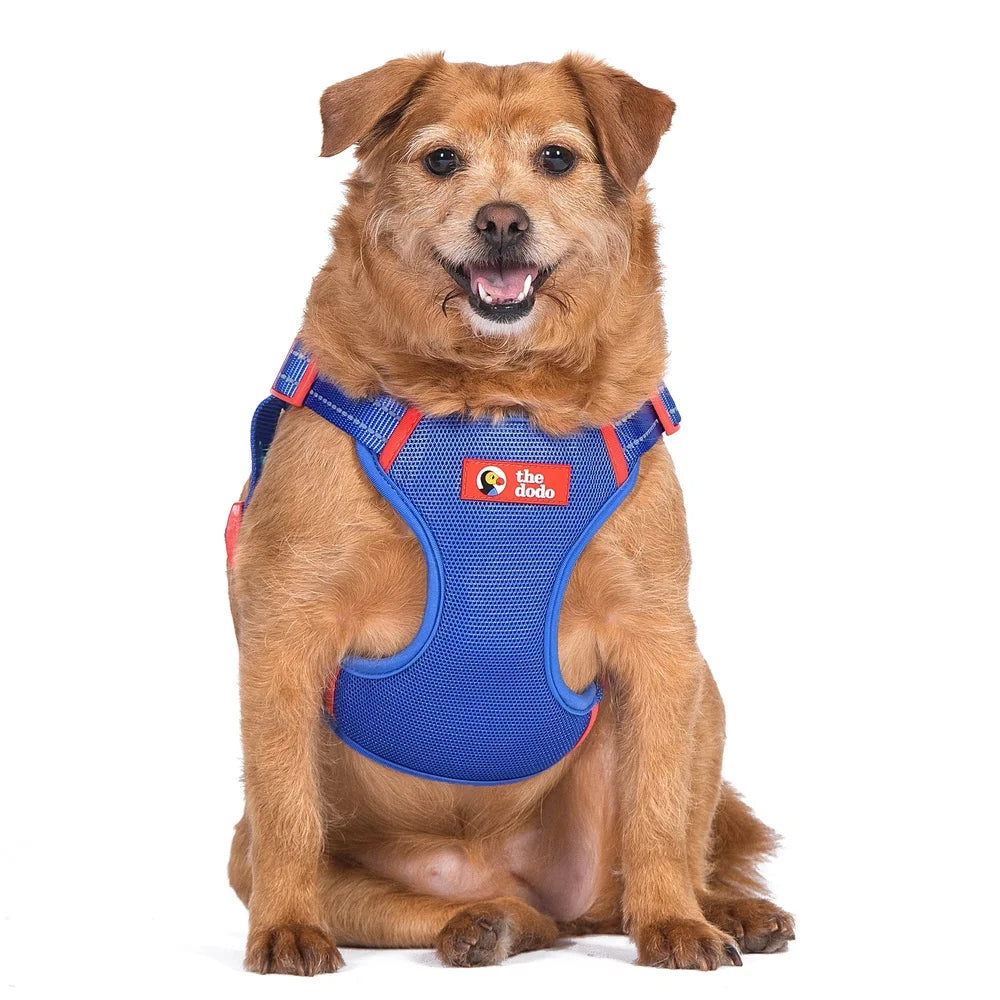 DUTRIEUX Adjustable Dog Harness Breathable Mesh Step In Style
