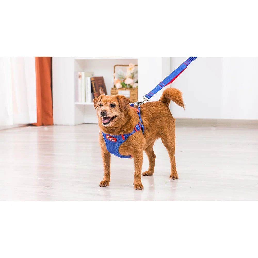 DUTRIEUX Adjustable Dog Harness Breathable Mesh Step In Style