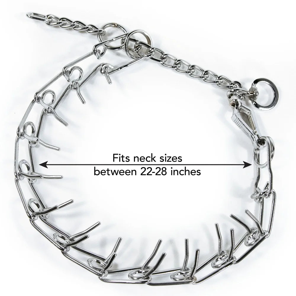 DUTRIEUX Pronged Training Collar Martingale Style Steel Leash Attachment