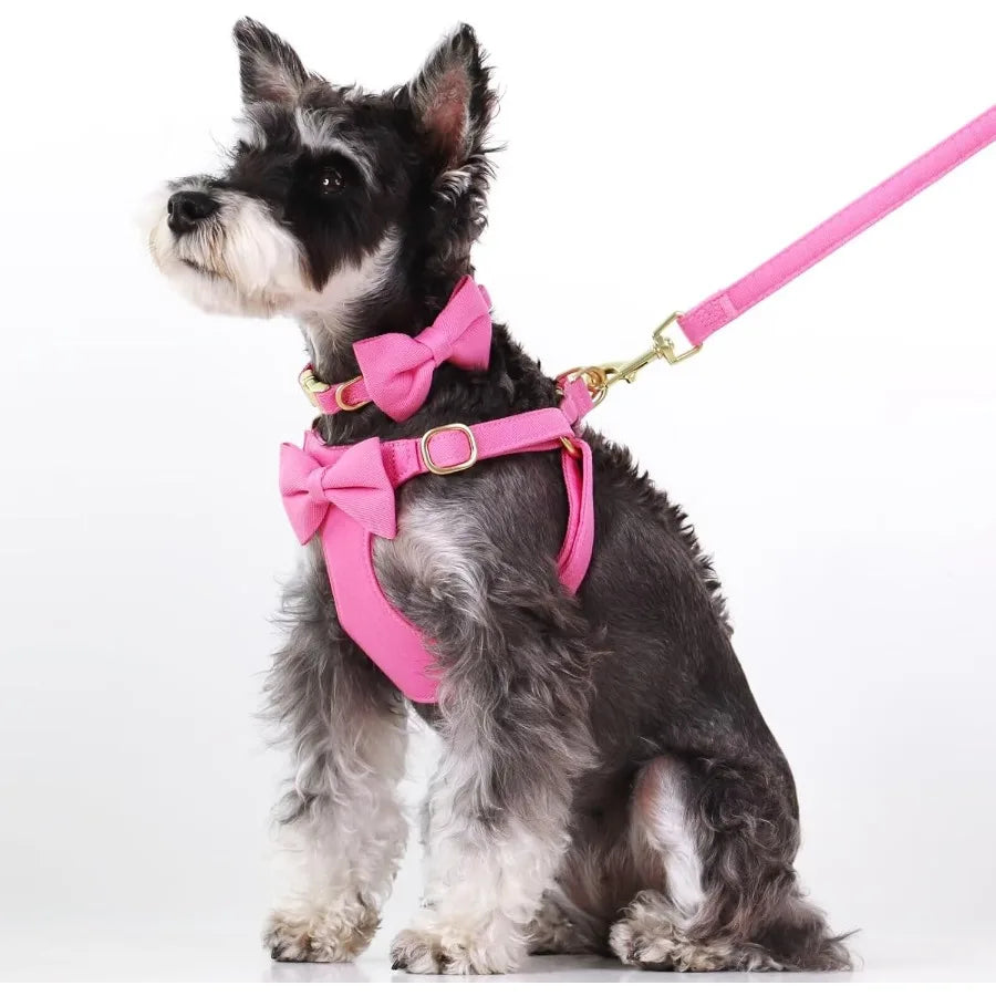 High-concerned Dog Harness Set With Three Detachable Bows And Leash