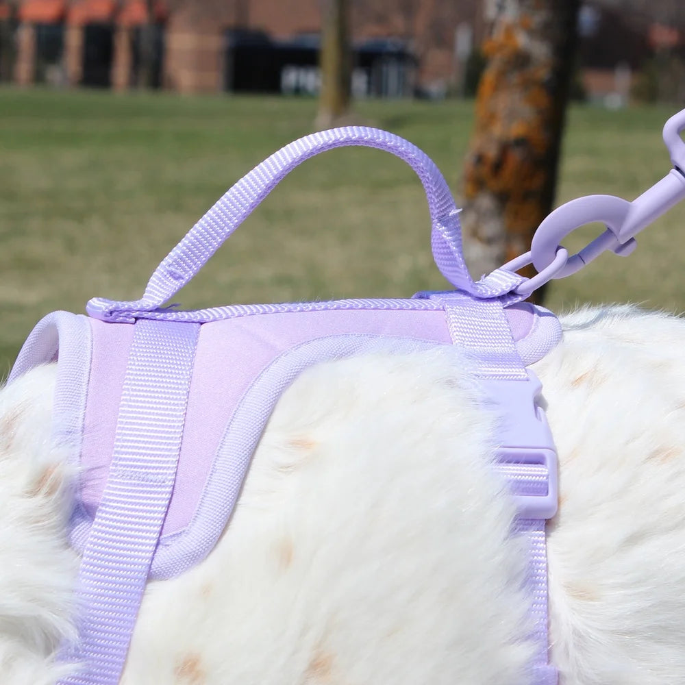 XMSJ Comfort Control Neoprene Dog Harness for Outdoor Safety