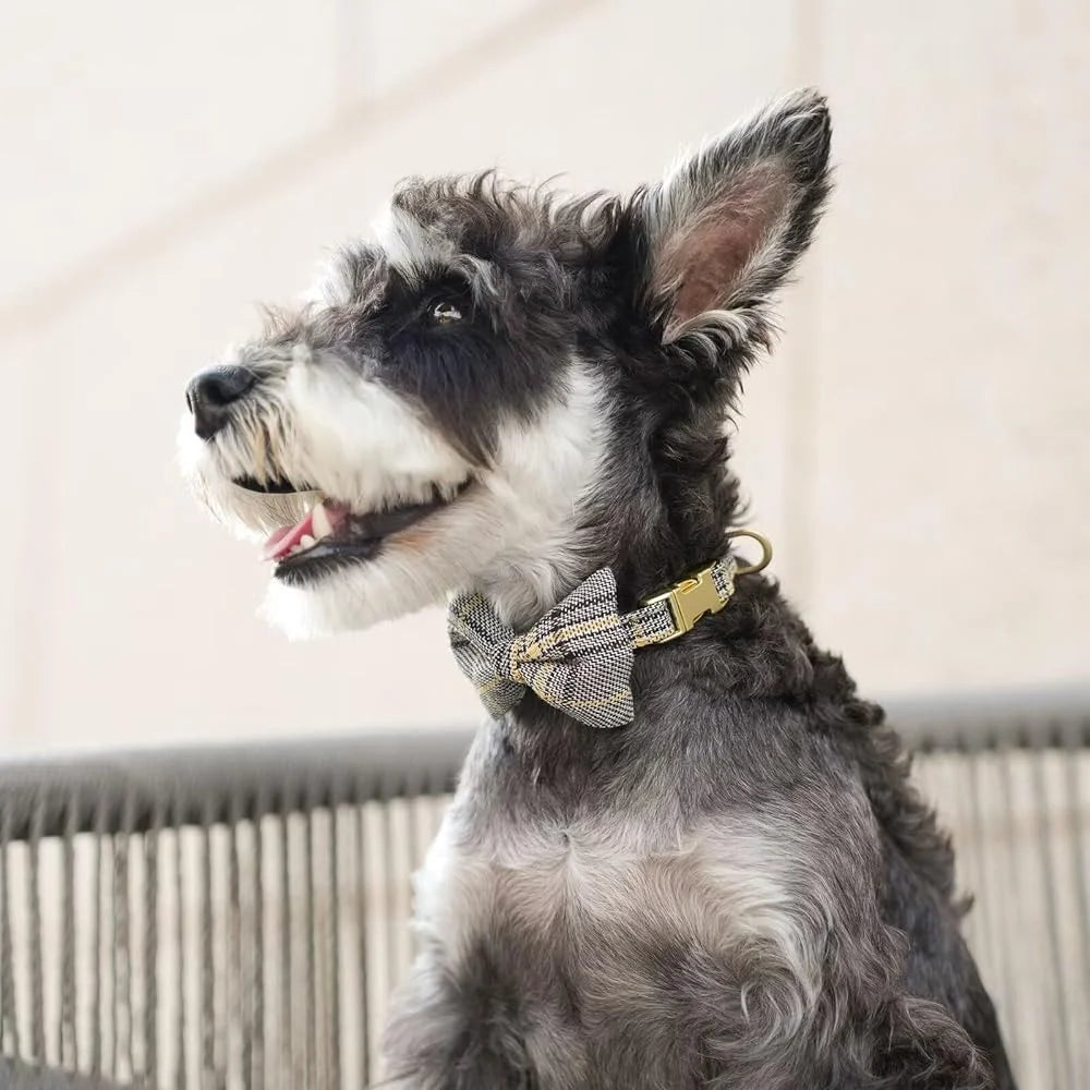 XMSJ Cute Adjustable Harness Leash Set for Cats and Dogs