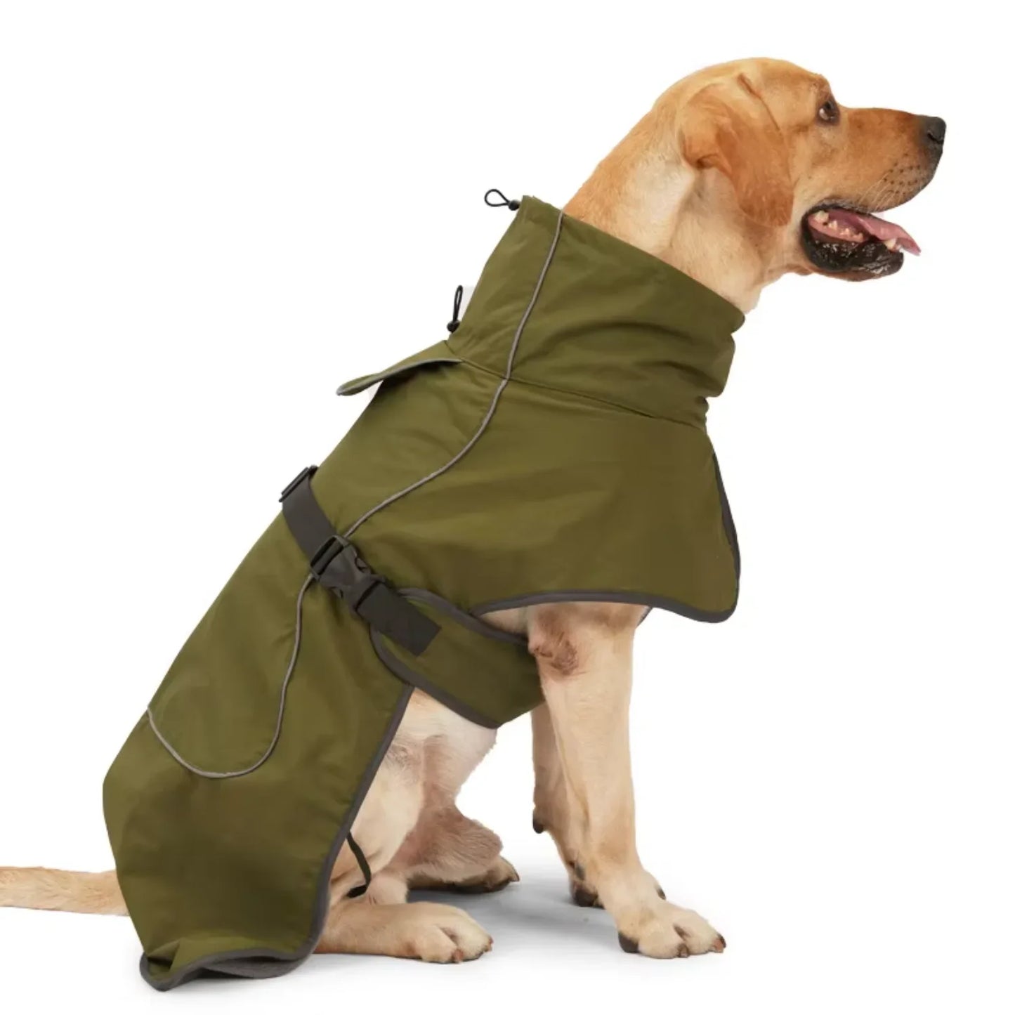 Color Windproof Pet Raincoat For Dogs Winter Coat Jacket
