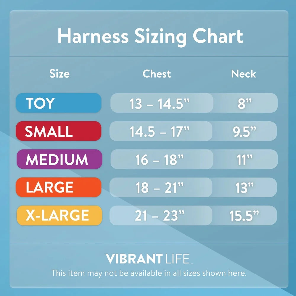 DUTRIEUX Adjustable Reflective Dog Harness With Easy Clip