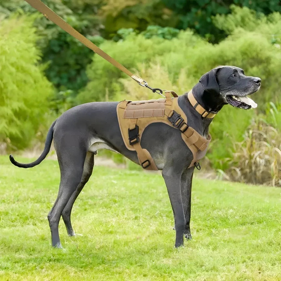 High Concerned Tactical Dog Harness with Handle and Molle Vest