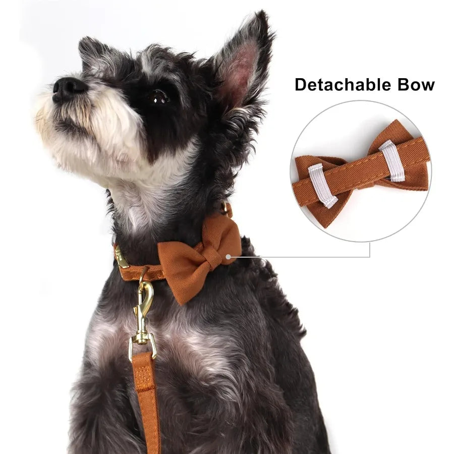 High-concerned Dog Harness Set With Detachable Bows And Leash