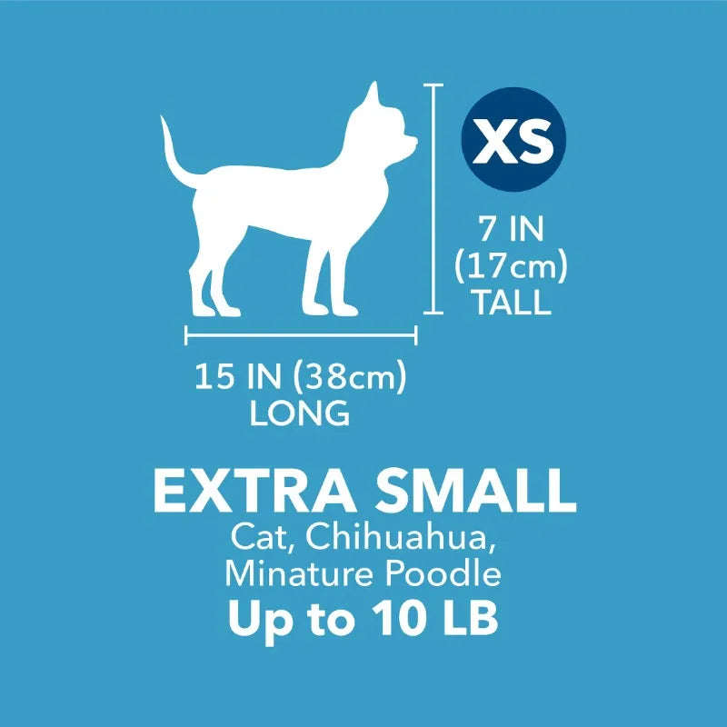 Plastic Pet Kennel Portable Dog Crate For Pets Up To 10 Lbs