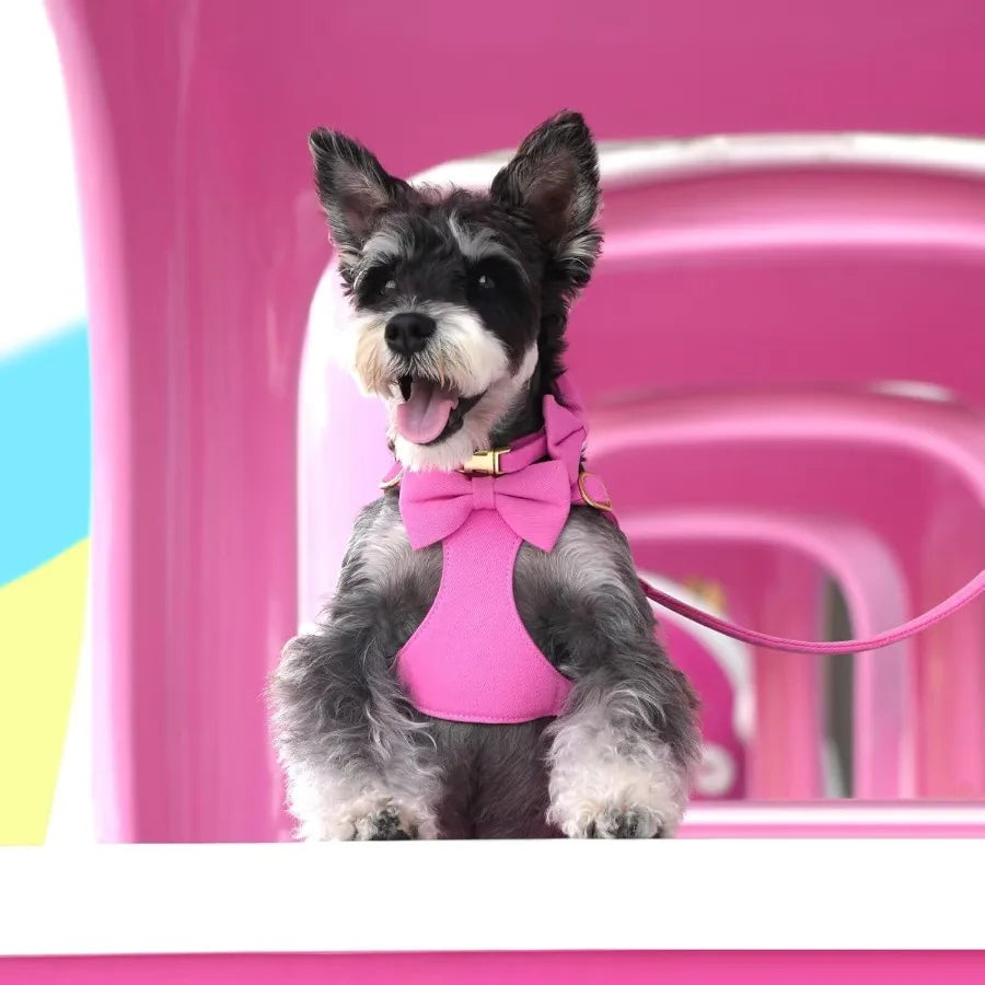 High-concerned Dog Harness Set With Three Detachable Bows And Leash