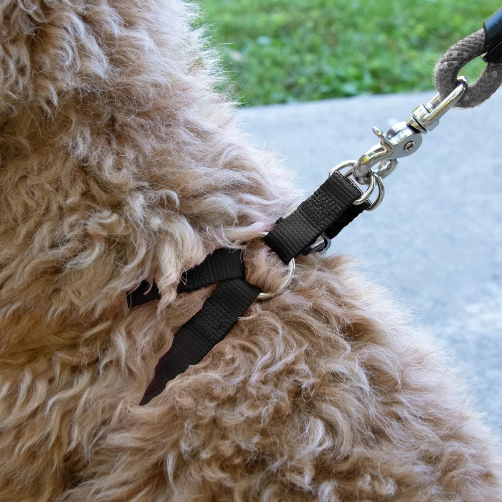 XMSJ Two Pack Adjustable Step In Dog Harness D-Ring