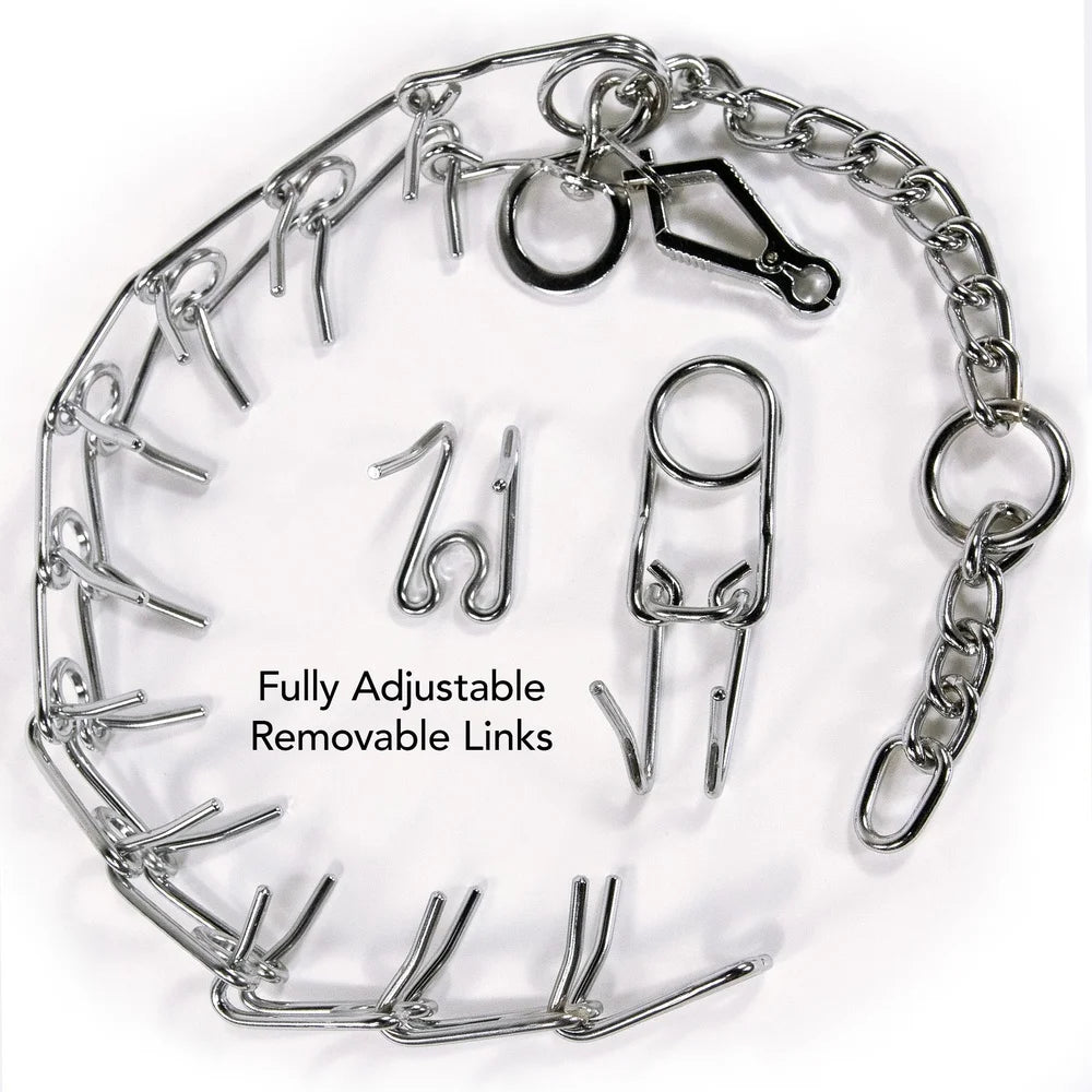 DUTRIEUX Pronged Training Collar Martingale Style Steel Leash Attachment