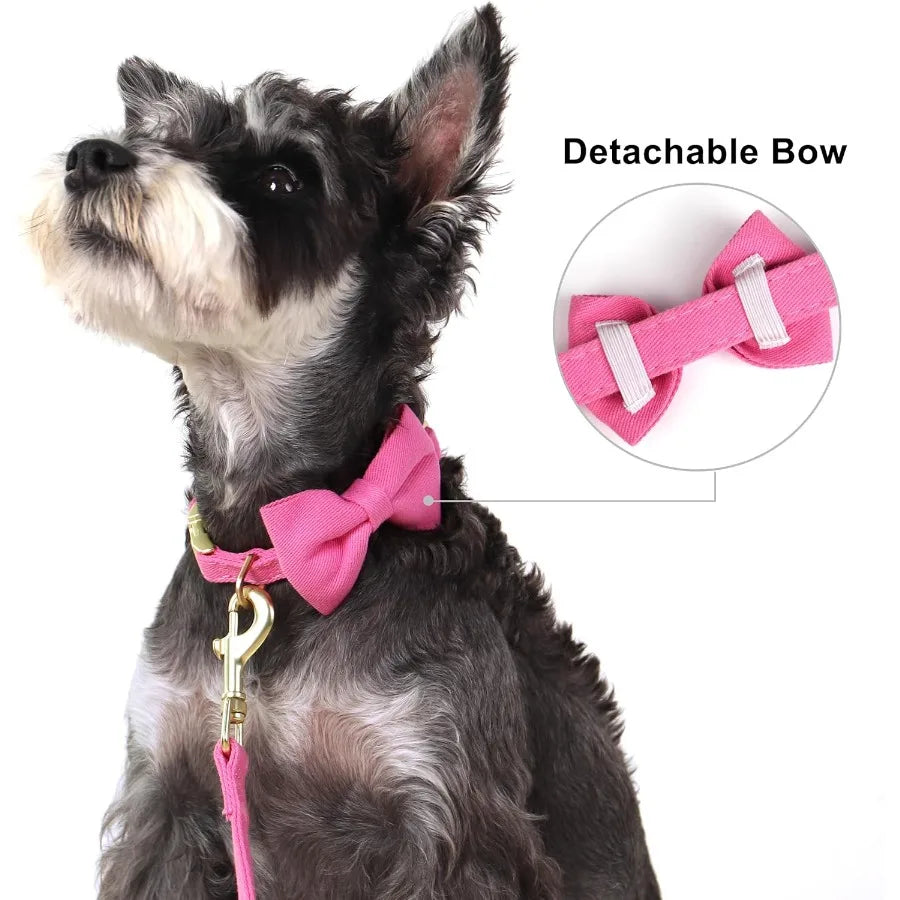 High-concerned Dog Harness Set With Three Detachable Bows And Leash